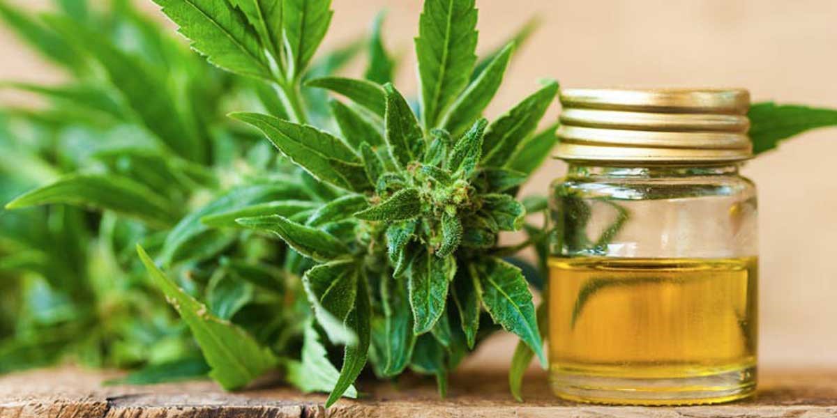 CBD Oil Under 
      Tongue North Buena Vista 
      IA